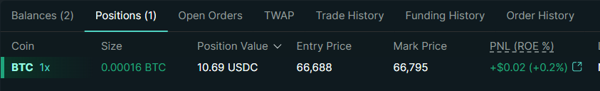 Open position with PnL, entry price, and size